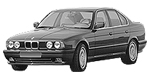 BMW E34 P1A56 Fault Code